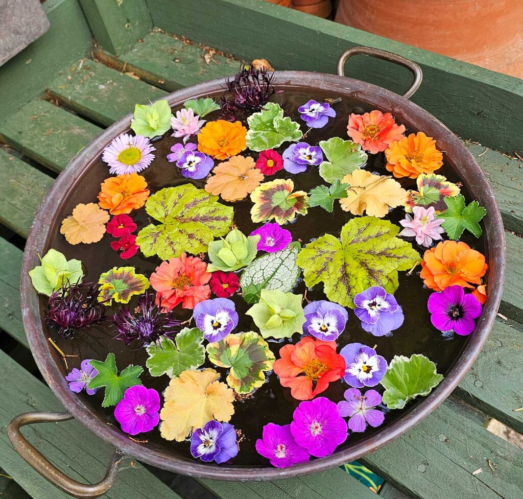 Blommor och blad i en balja med vatten